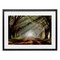 Stupell Industries Sunlit Evergreen Grove Framed Print Under Glass, design by Mike Jones